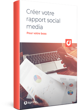 FR - Créer votre rapport social media pour votre boss_3D BOOK (1).png