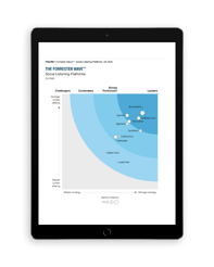 Forrester New Wave Q4 2020 Ipad