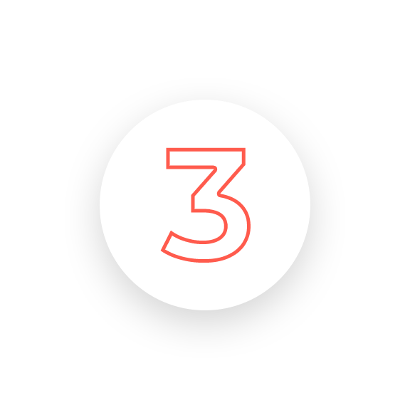icon N3